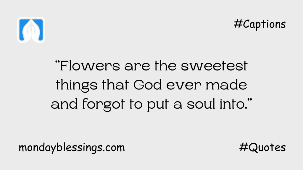 Instagram Flower Quotes