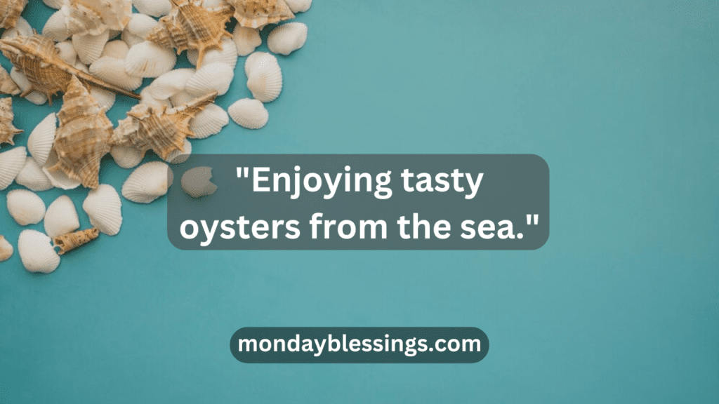 Good Oyster Captions for Status
