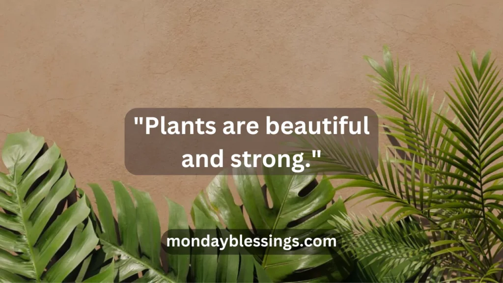 Cute Captions on Plants