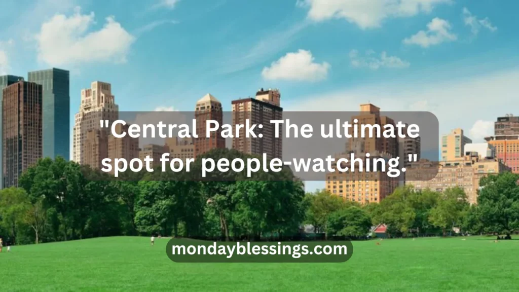 Funny Central Park Captions