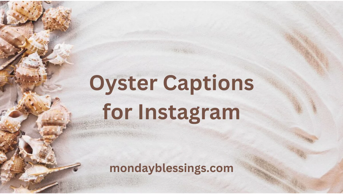Oyster Captions