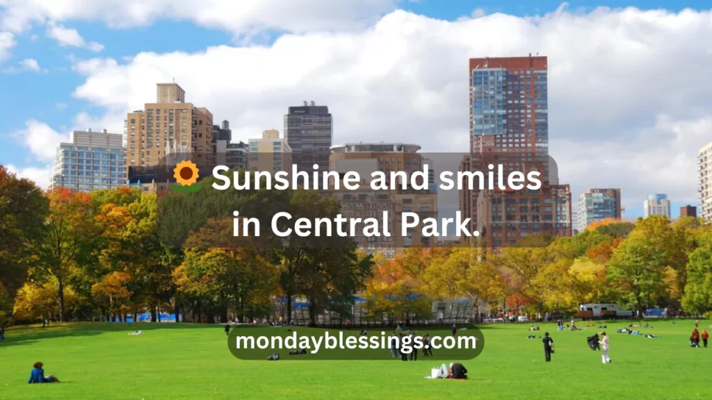 Short Central Park Captions